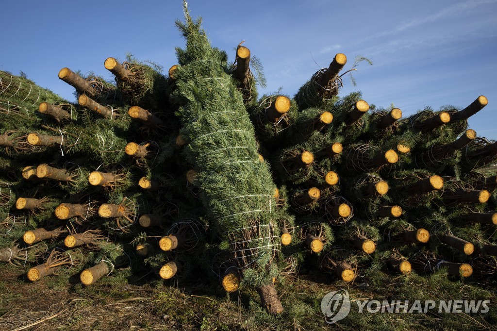 Virus Outbreak Christmas Trees
