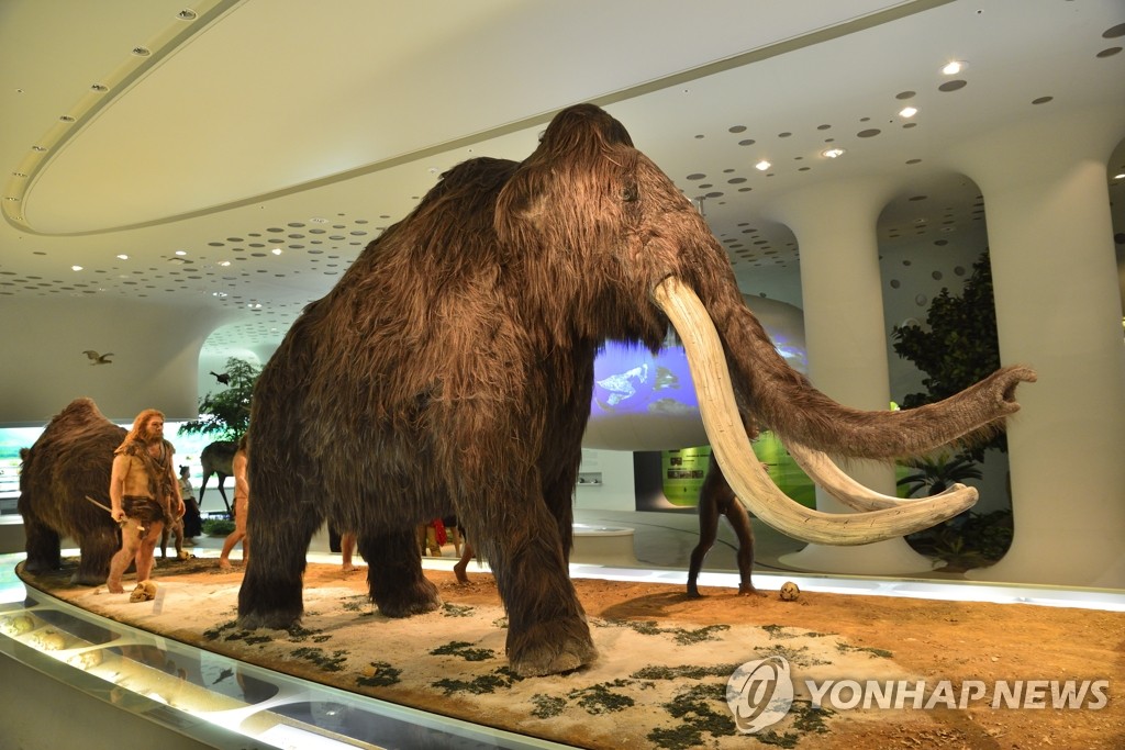 전곡선사박물관(연합뉴스 자료사진)