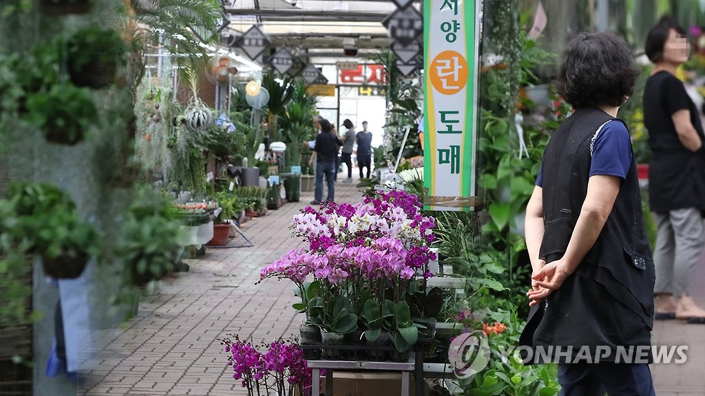 '시들어 가는' 화훼농가… 매출 '반 토막'(CG)
