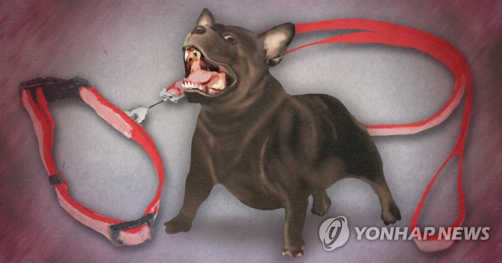 목줄 안 한 반려견 주민 공격(PG)