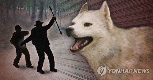 맹견, 행인 위협 공격(PG)