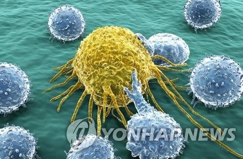 암세포와 림프구 이미지