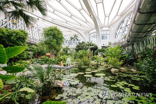 서울식물원, 온실 동시 이용 인원 550명으로 늘려
