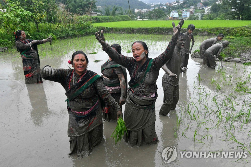 NEPAL-AGRICULTURE-FESTIVAL