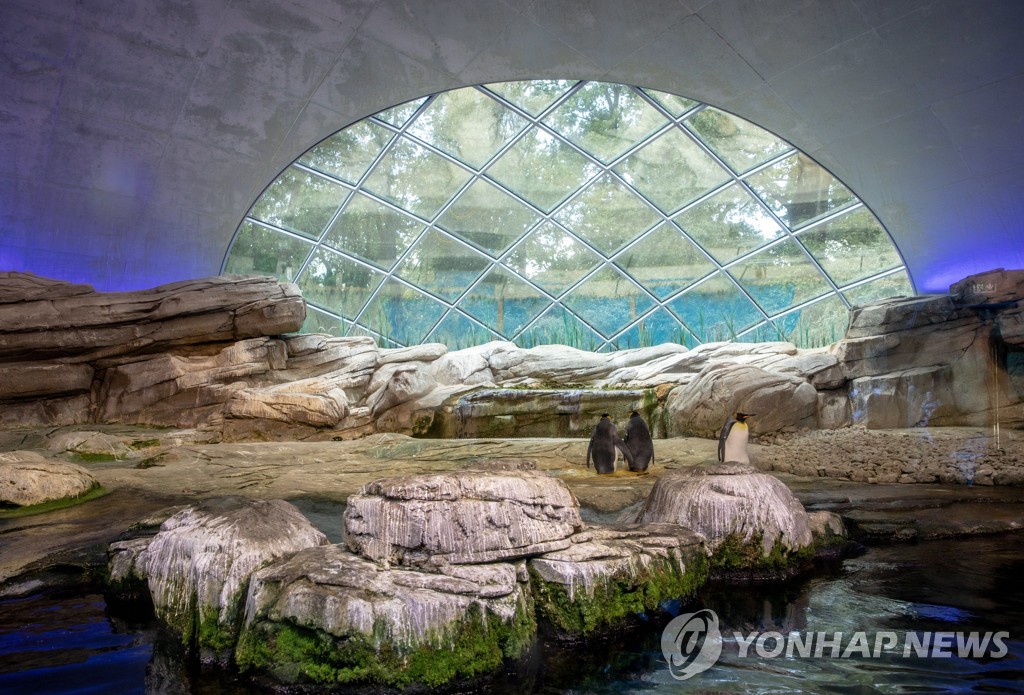 GERMANY CURIOSITIES GAY MALE PENGUINS ADOPT EGG