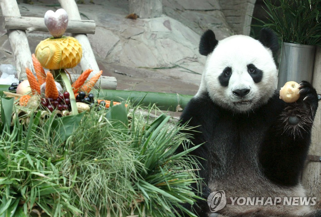 (FILE) THAILAND PANDA DEATH