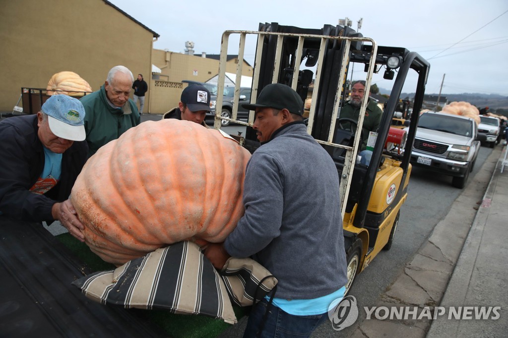 US-HALF-MOON-BAY'S-ANNUAL-PUMPKIN-WEIGH-OFF-DETERMINES-WORLD'S-B