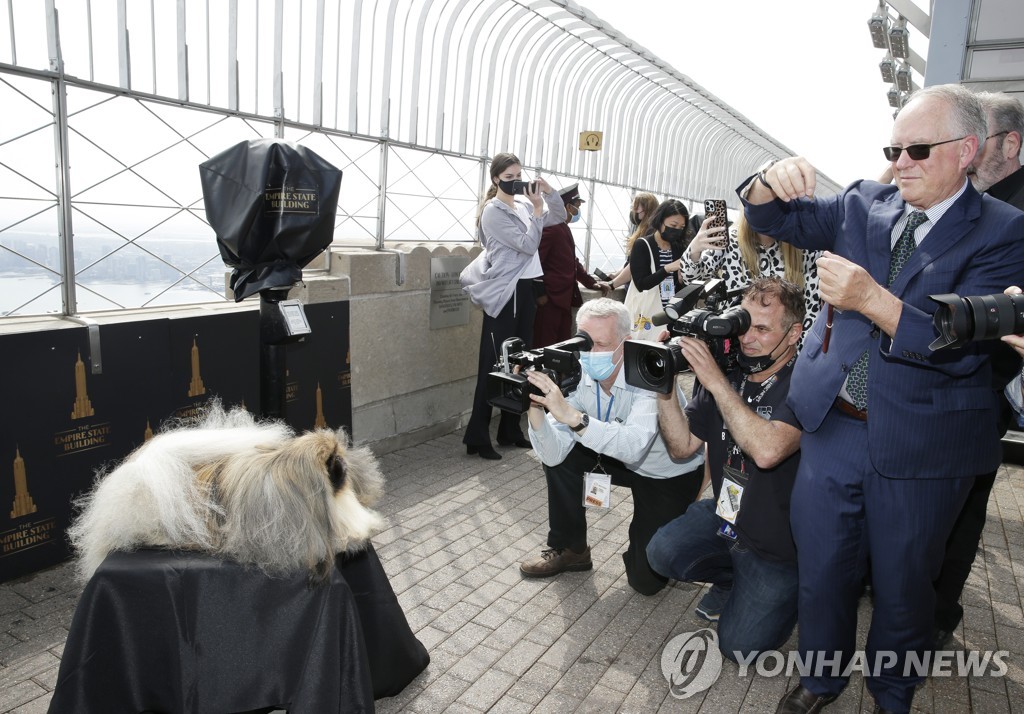 WESTMINSTER DOG SHOW