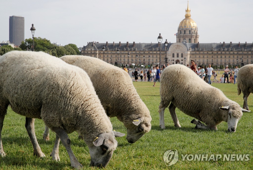 FRANCE-SHEEP/PARIS