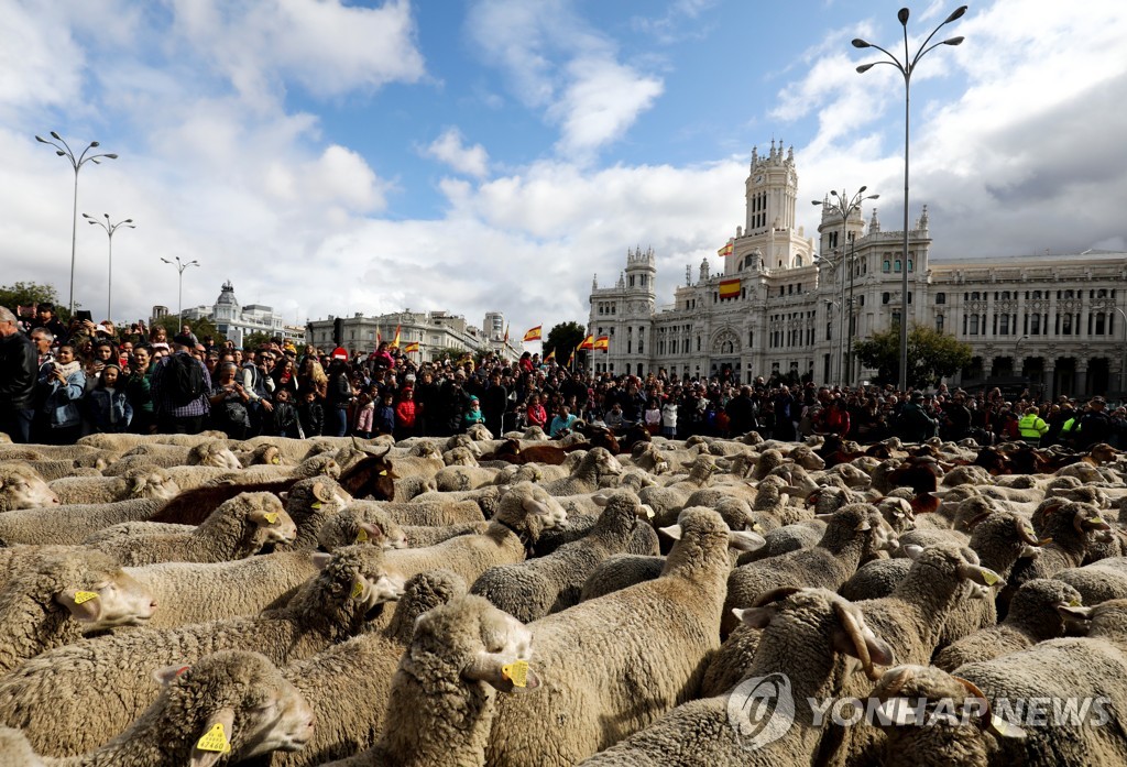 SPAIN-ANIMALS/