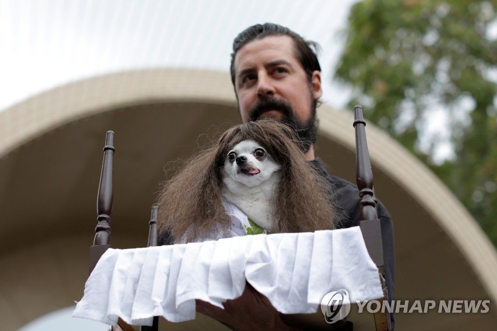 USA-HALLOWEEN/DOGS