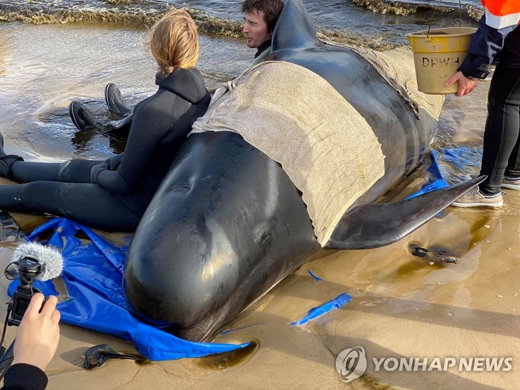 AUSTRALIA-WHALES/
