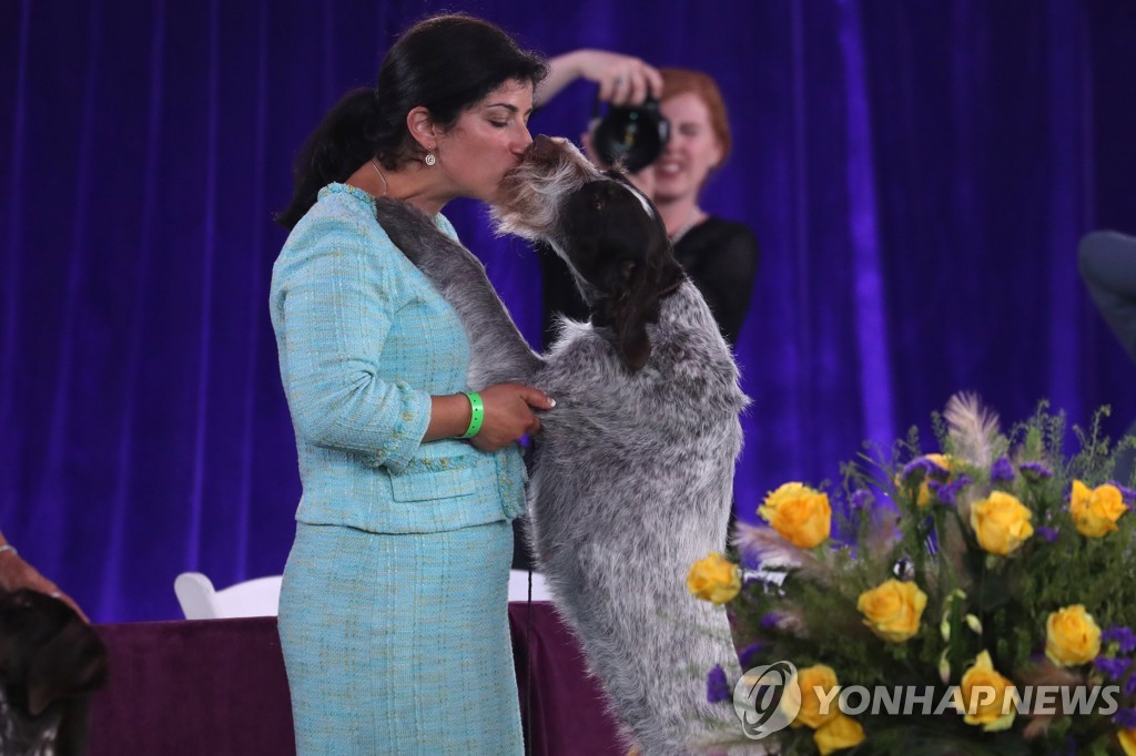 USA-DOGSHOW/WESTMINSTER