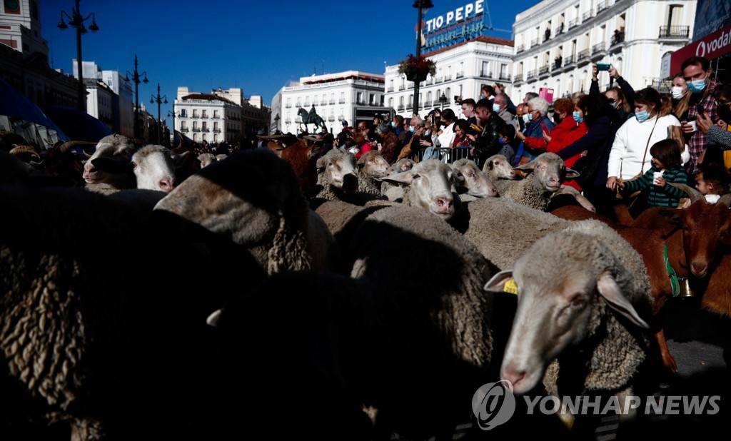 SPAIN-ANIMALS/