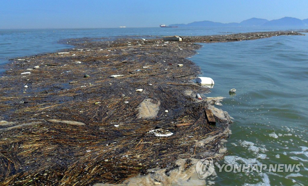 2011년 여름 거제 앞바다의 해양쓰레기