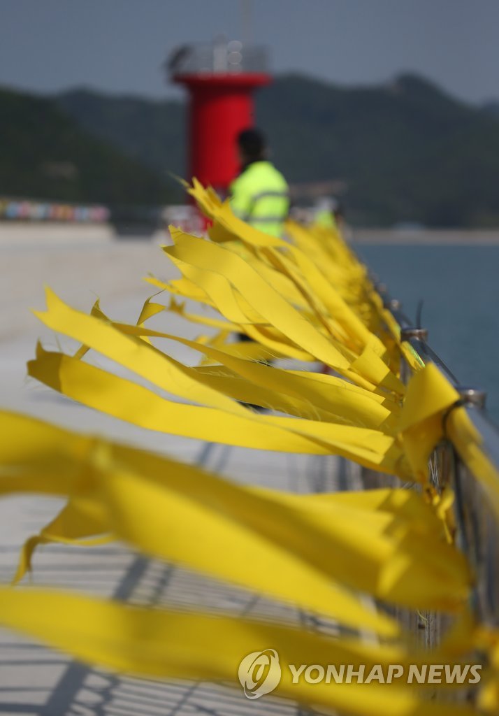세월호 침몰 사고 발생 24일째인 9일 오전 전남 진도 팽목항에서 희생자를 추모하고 실종자의 무사귀환을 기원하는 노란색 리본이 바람에 날리고 있다.
