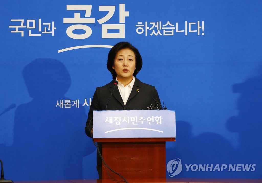 박영선 원내대표 기자회견