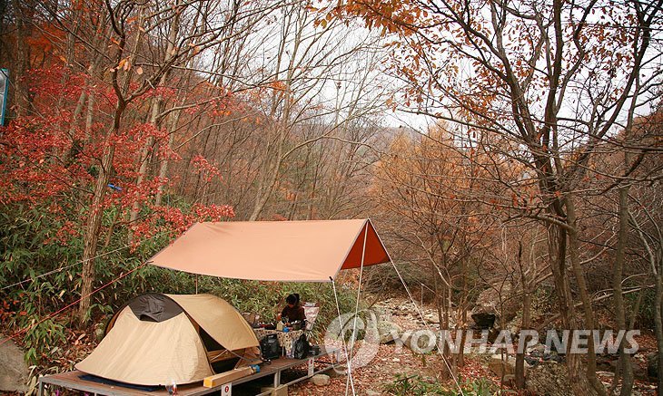 가을 즐기기 좋은 운장산자연휴양림 야영장