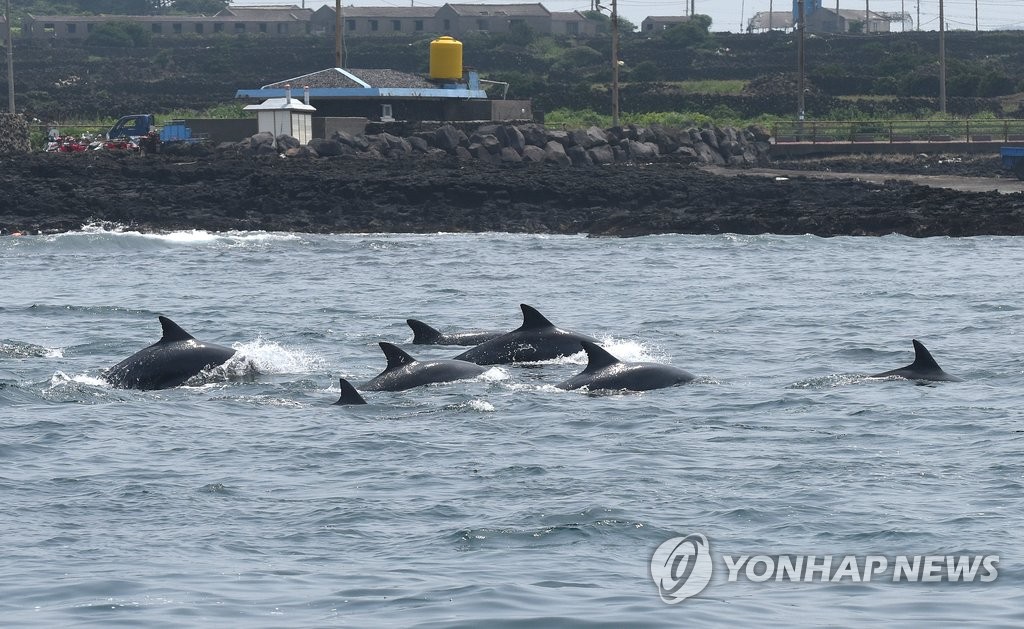 태산·복순 만난 춘삼이