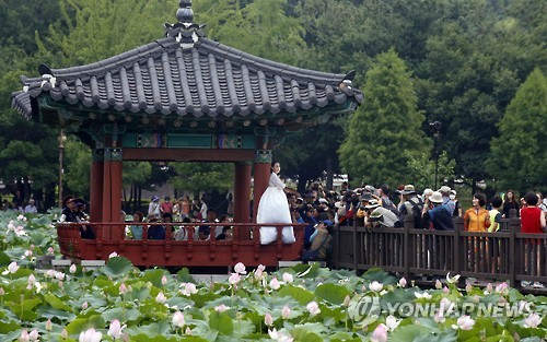 연꽃 위에서 펼쳐지는 공연