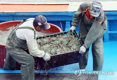 꽃게 조업