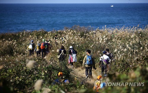 억새꽃 핀 제주올레 해변길