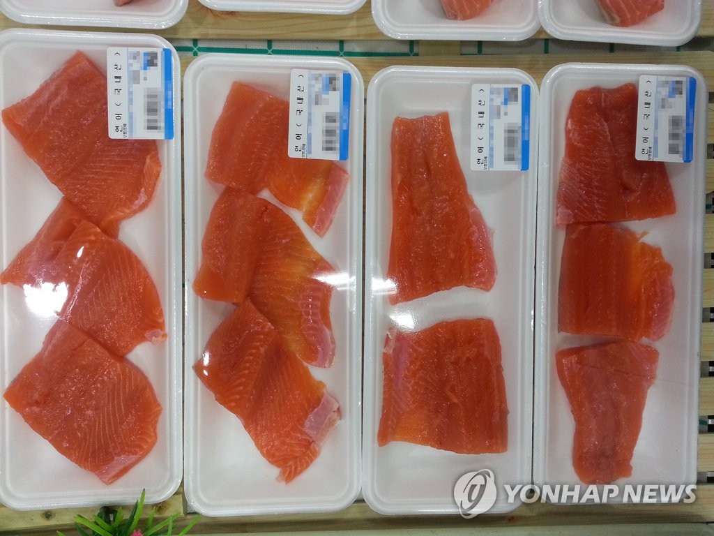 양식연어 시범출하 '인기'