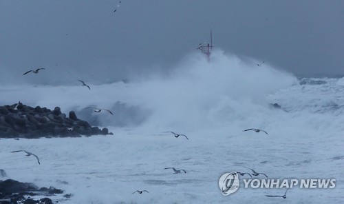 제주도 북부·서부 앞바다 오전 11시 풍랑주의보 - 1