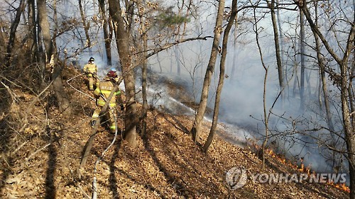 횡성 야산서 불…진화작업