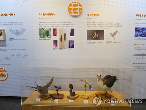 이화여대 자연사박물관, '공학, 자연을 만나다' 특별기획전