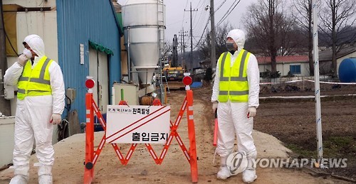 구제역 방역