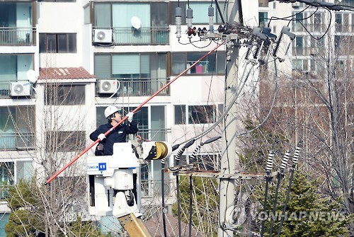 '정전사고 예방' 한전 전신주 까치집 제거