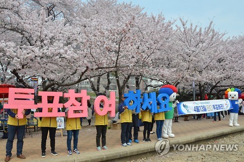 벚꽃도 보고 투표도 하세요