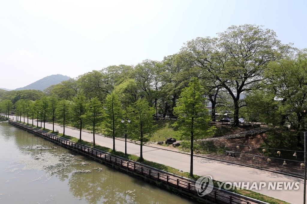 <길따라 멋따라> 아름다운 관방제림