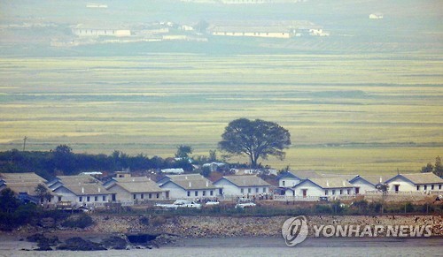 2016년 벼가 노랗게 익은 북한 개풍군 삼달리 풍경