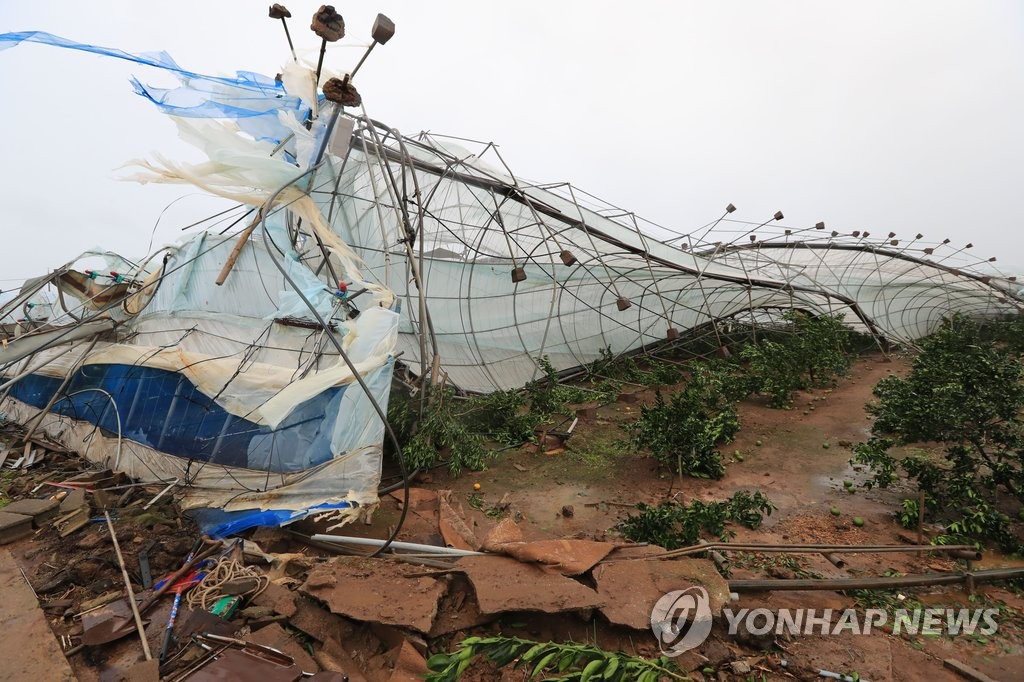 <태풍 차바> 강풍에 뒤집힌 비닐하우스