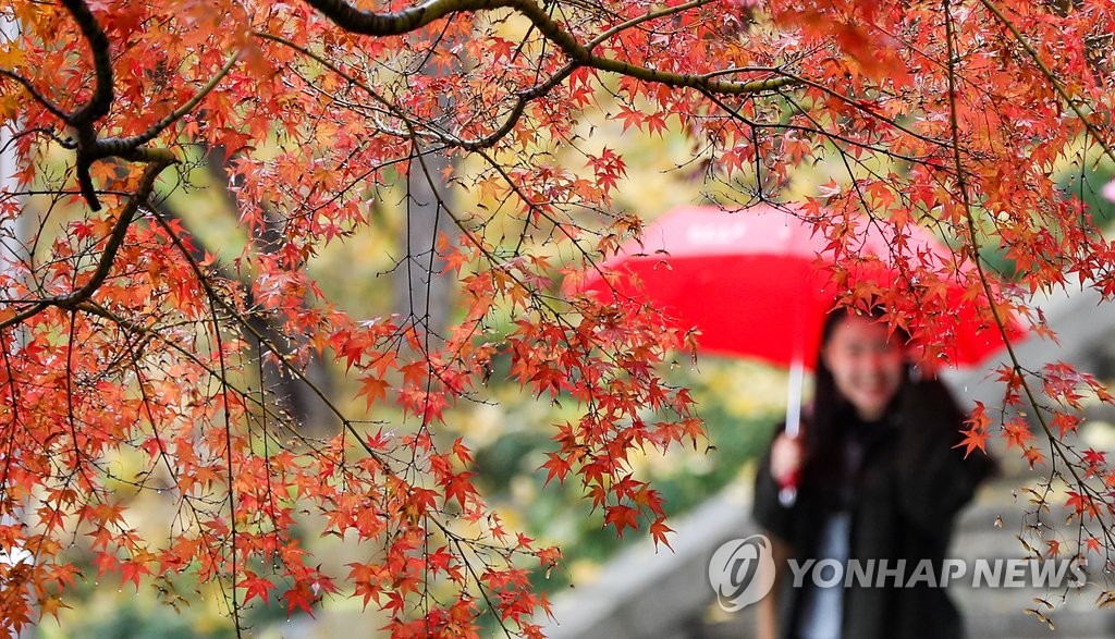 가을비 내리는 캠퍼스