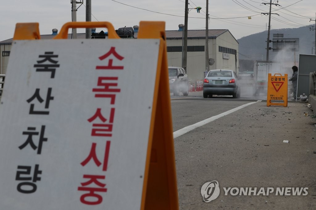 양주 AI 의심 신고 '방역 비상'