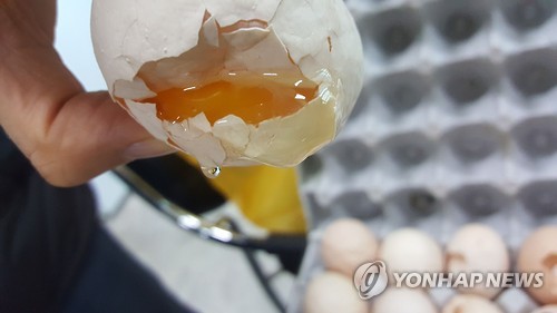 경찰이 압수한 깨진 계란