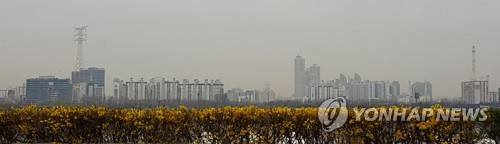 꽃이 꽃처럼 보이기 힘드네