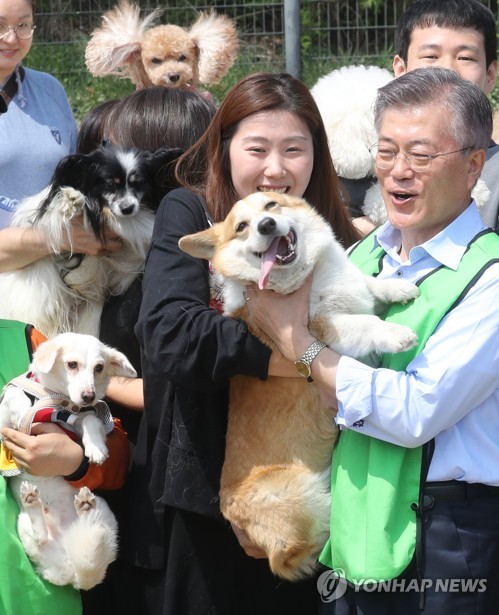반려동물 안아보는 문재인 후보