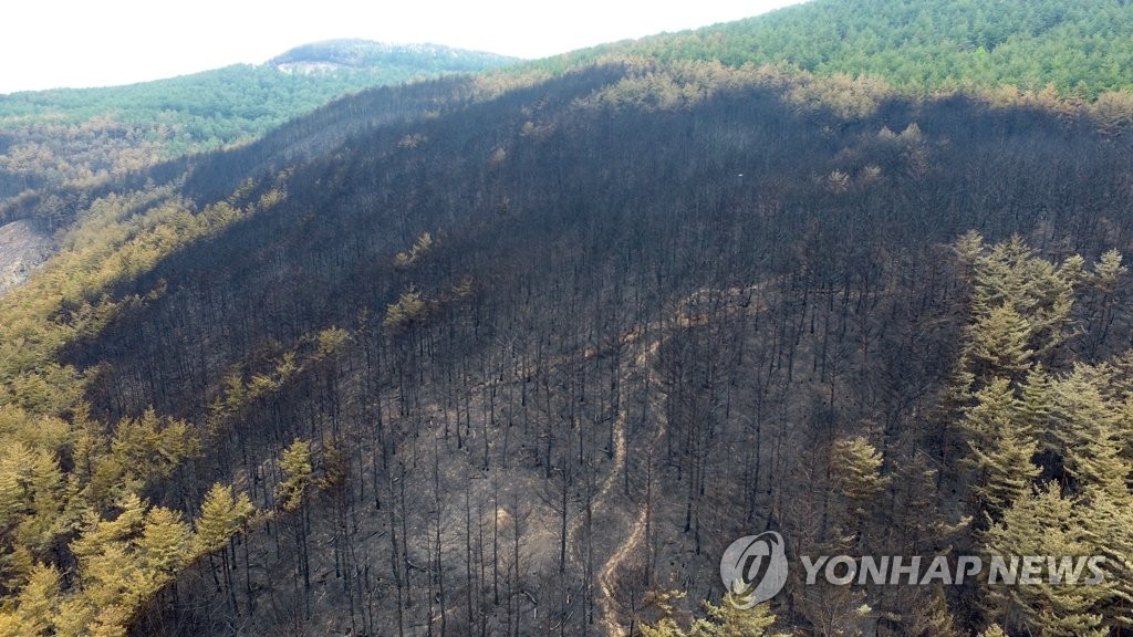처참한 모습 드러낸 삼척 산불 현장