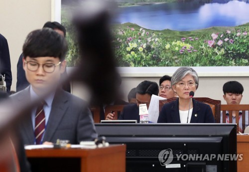 강경화 외교장관 후보자 인사청문회