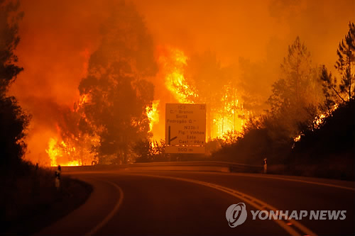 포르투갈 대규모 산불