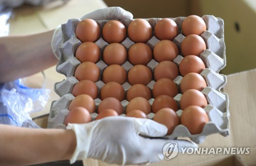 태국산 계란 검역 샘플 도착