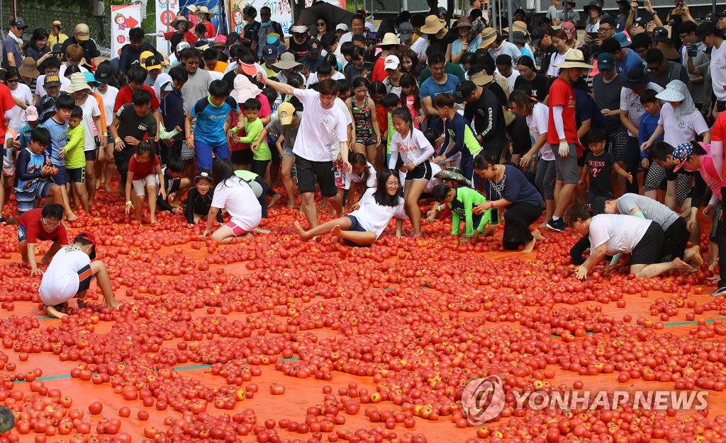 화천 토마토축제 즐기는 관광객 [연합뉴스 자료사진]