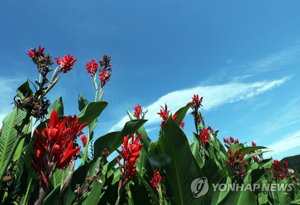 늦더위 주춤 벌써 초가을…전국 유원지·산 '북적' - 1