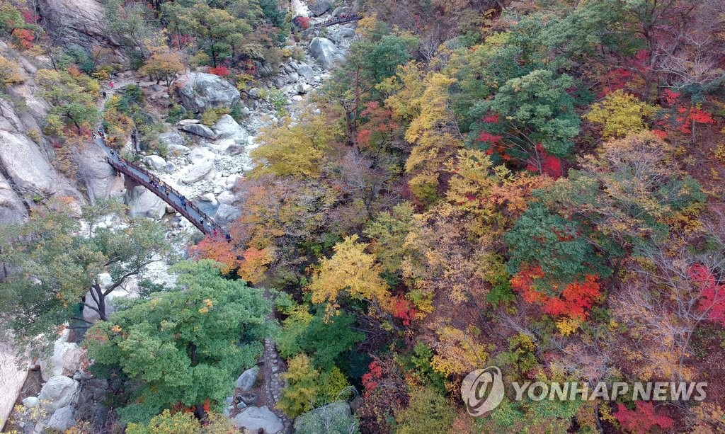 단풍이 그린 풍경화