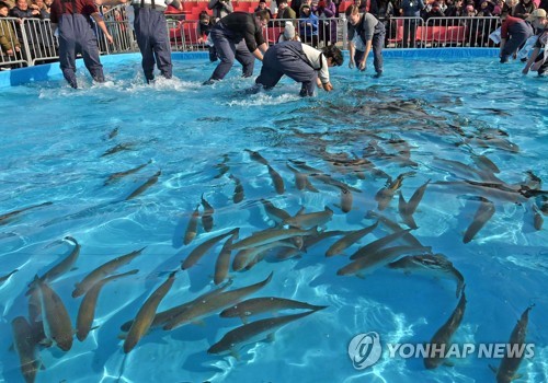 맨손으로 송어를 잡아라