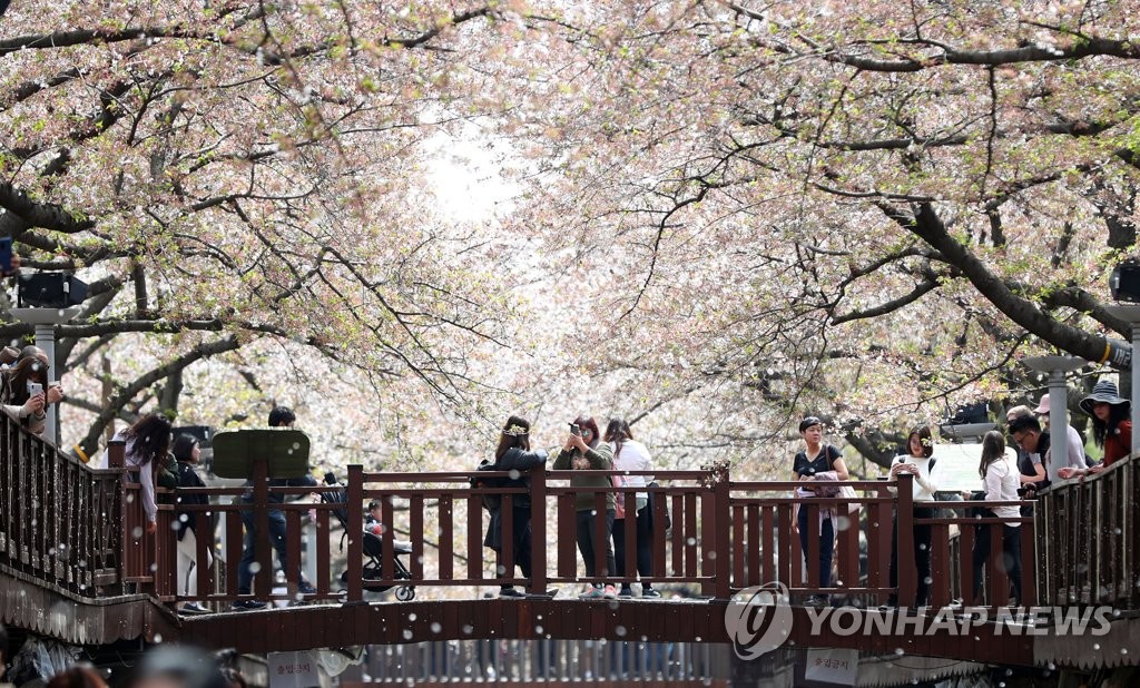 휘날리는 봄